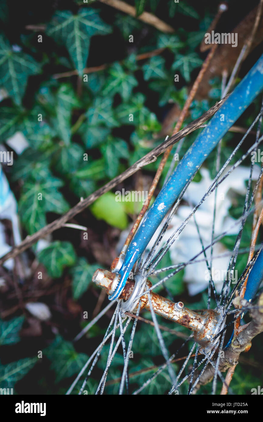 Dettaglio di un vecchio abbandonato vintage bicicletta arrugginita con ivy sullo sfondo trovato nel capannone rurale nella campagna italiana. Foto Stock