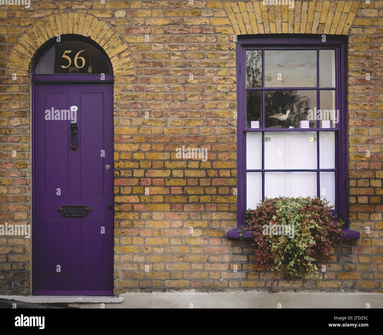 Viola porta con una finestra ad anta di una casa vittoriana nel quartiere di Greenwich. Londra (UK). Foto Stock