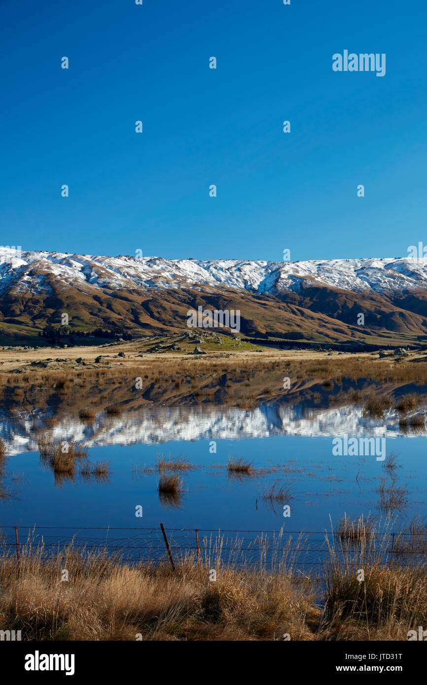 Agriturismo stagno e Rock e il pilastro della gamma, Sutton, vicino Middlemarch, Strath Taieri, Otago, Isola del Sud, Nuova Zelanda Foto Stock