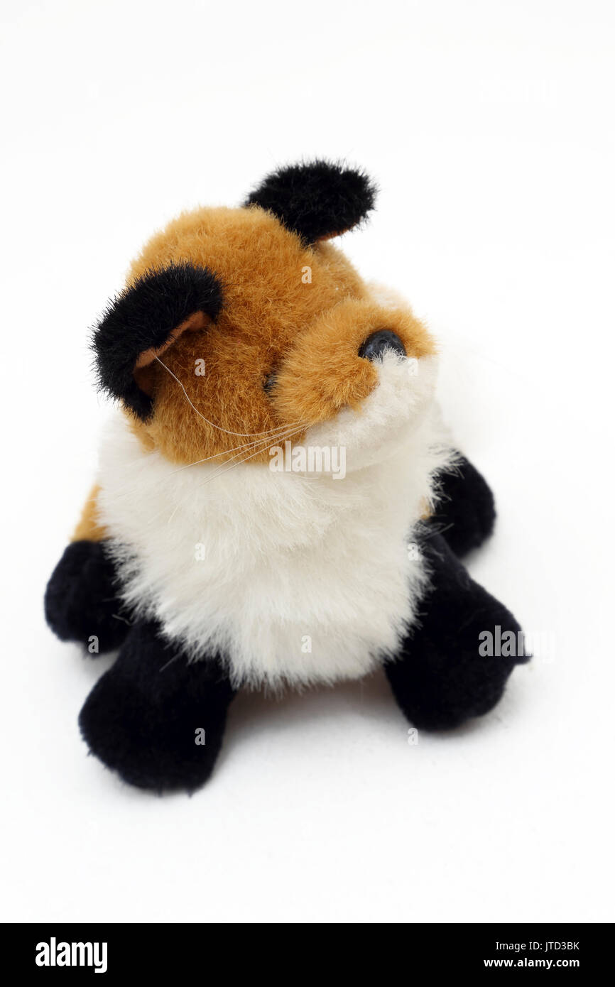 Peluche volpe rossa con nero orecchie e zampe Foto Stock