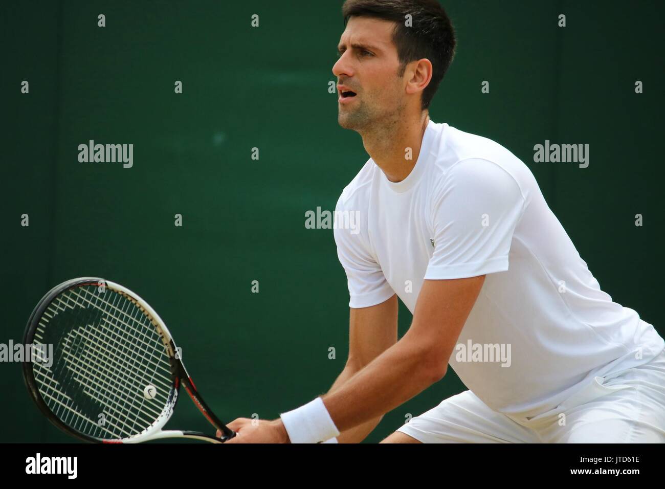 2017 campionati di Wimbledon - sessioni di libere dotate di: Novak Djokovic dove: Londra, Regno Unito quando: 08 lug 2017 Credit: Immagini di copertura Foto Stock