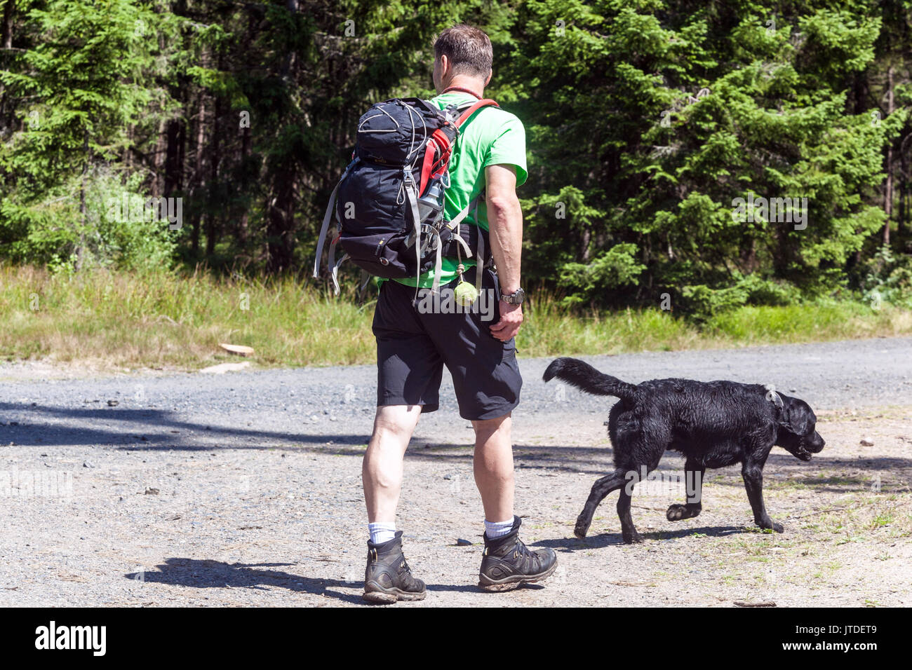 Parco Nazionale di Sumava, Repubblica Ceca, un escursionista in viaggio Man sentiero escursionistico con cane a piedi, uomo e cane Foto Stock