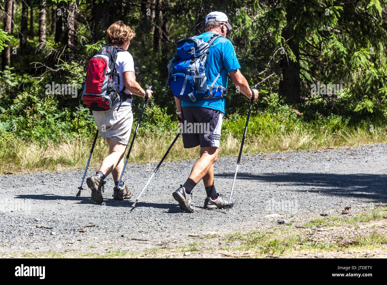 Persone attive in viaggio nella foresta coppia senior nordic walking, Repubblica Ceca Parco Nazionale di Sumava stile di vita sano escursionisti senior Foto Stock