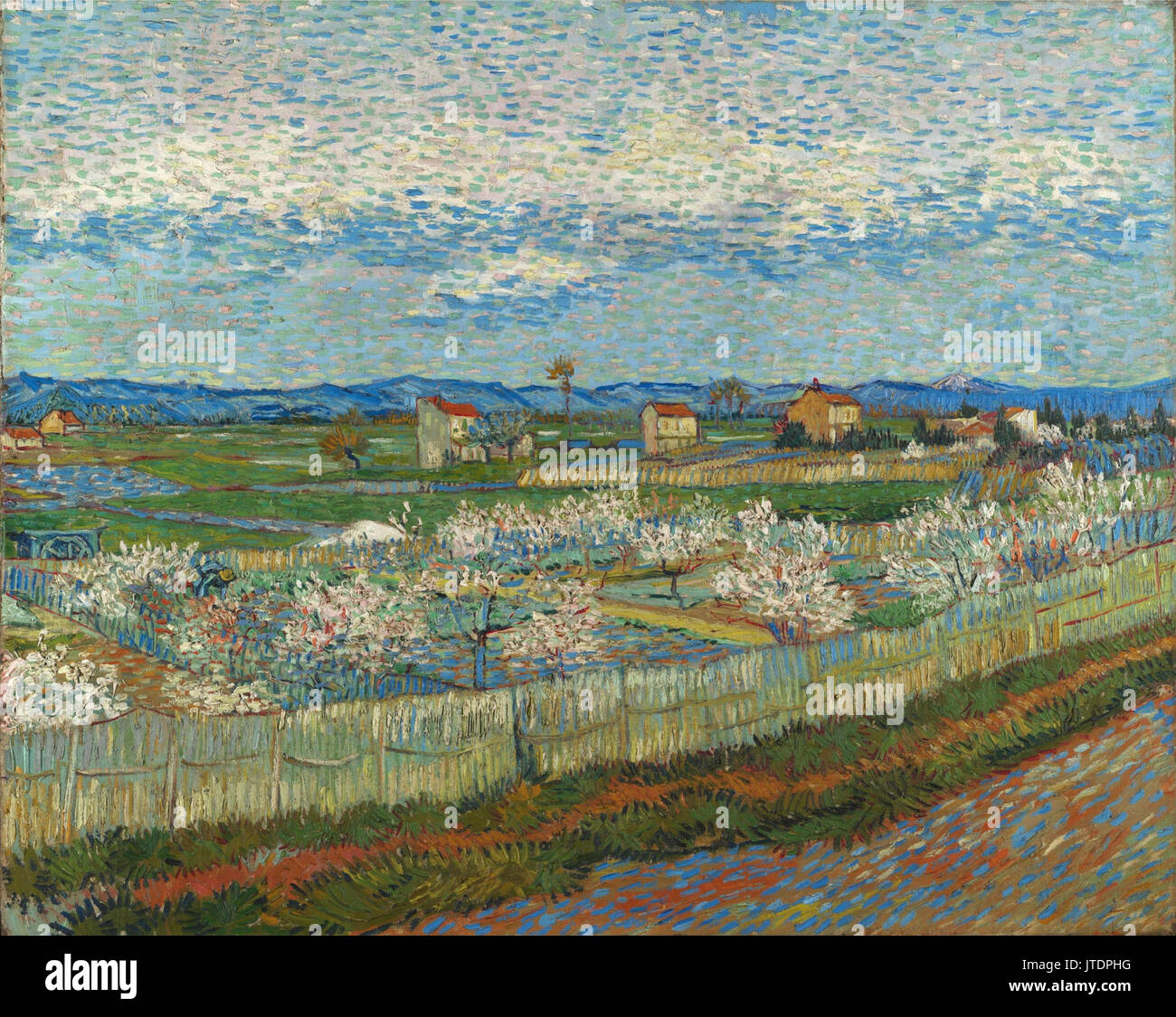 Vincent van Gogh Perzikbomen in bloei Foto Stock