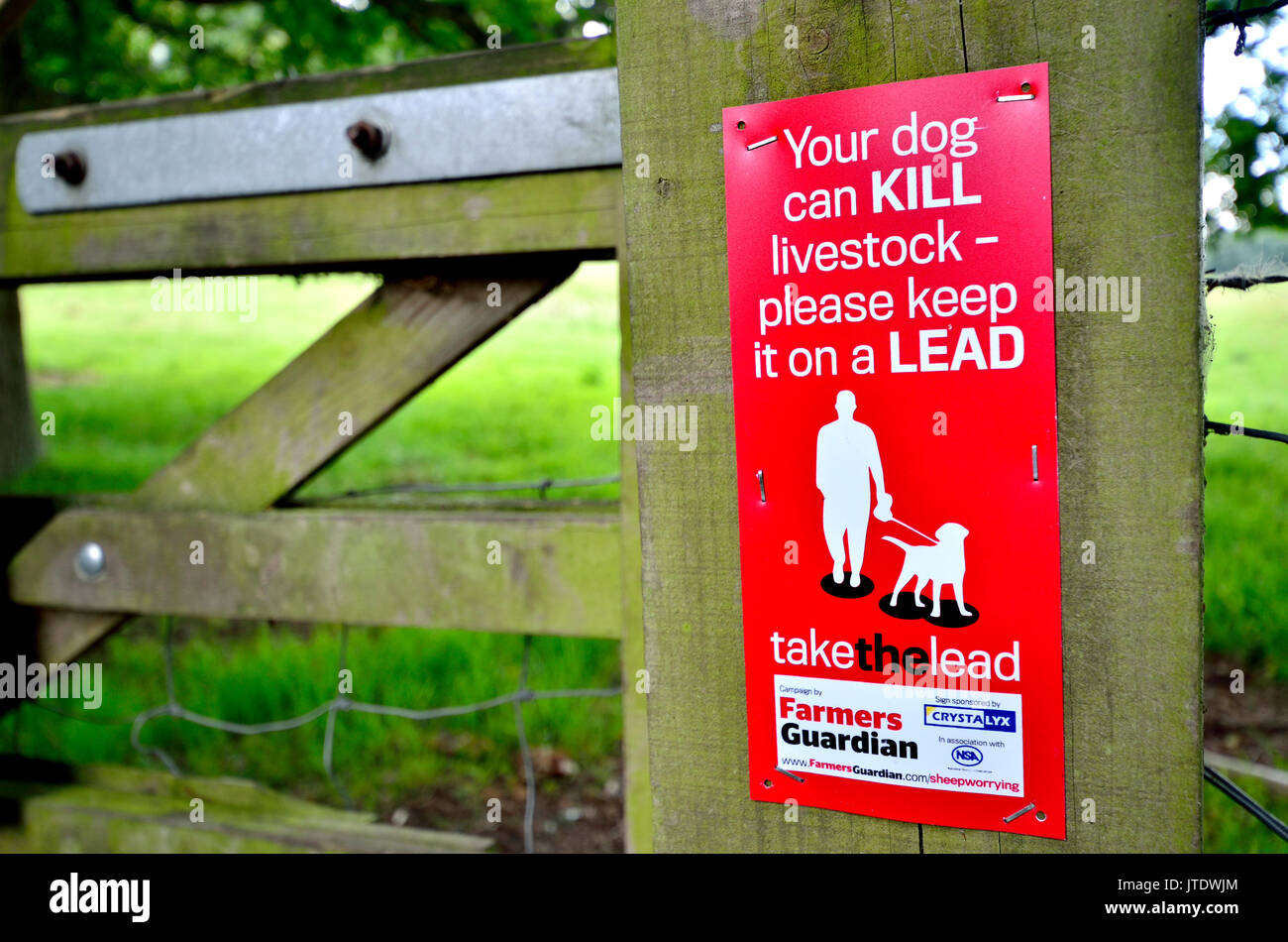 Kent, Inghilterra, Regno Unito. Segno su un paese porta ad un campo di pecora attenzione a tenere i cani al guinzaglio Foto Stock