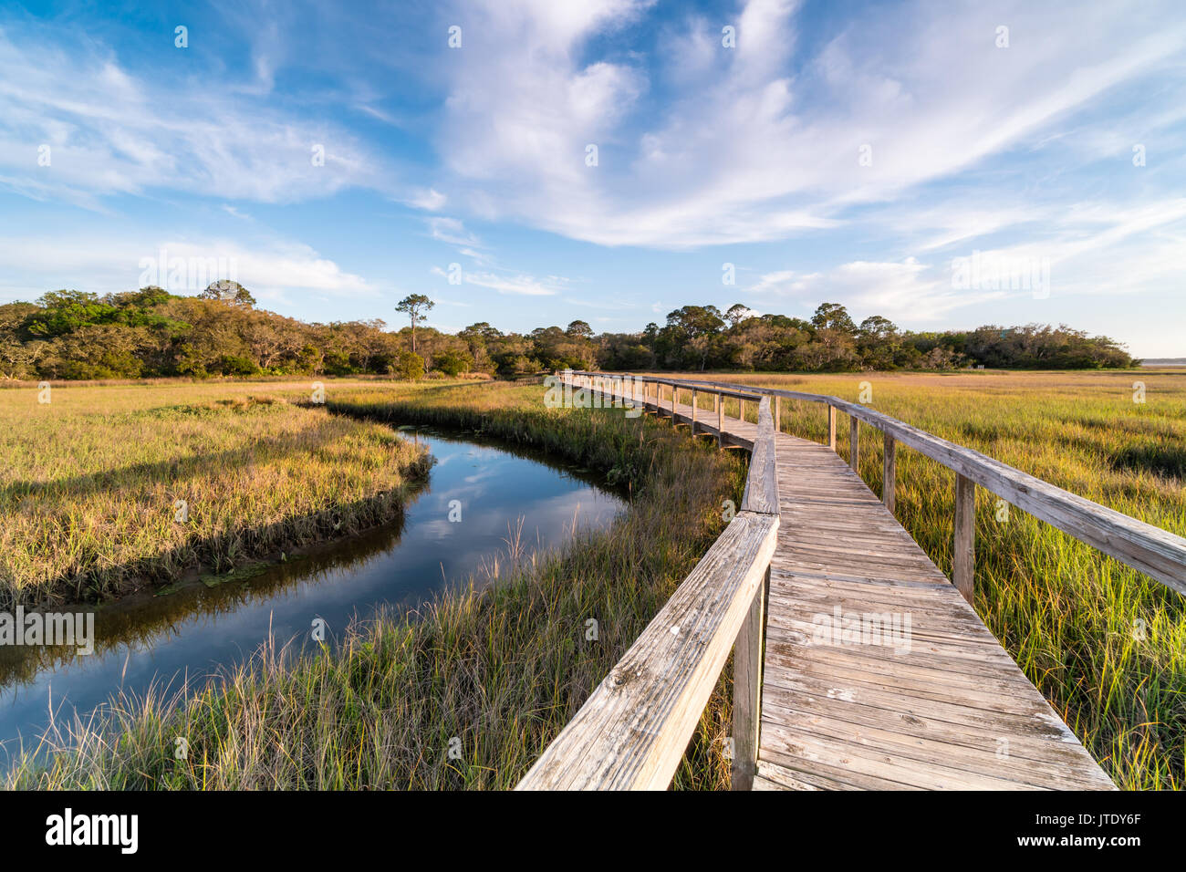 Masrh Boardwalk attraverso Drummond Point Park, Amelia Island Plantation, Florida Foto Stock