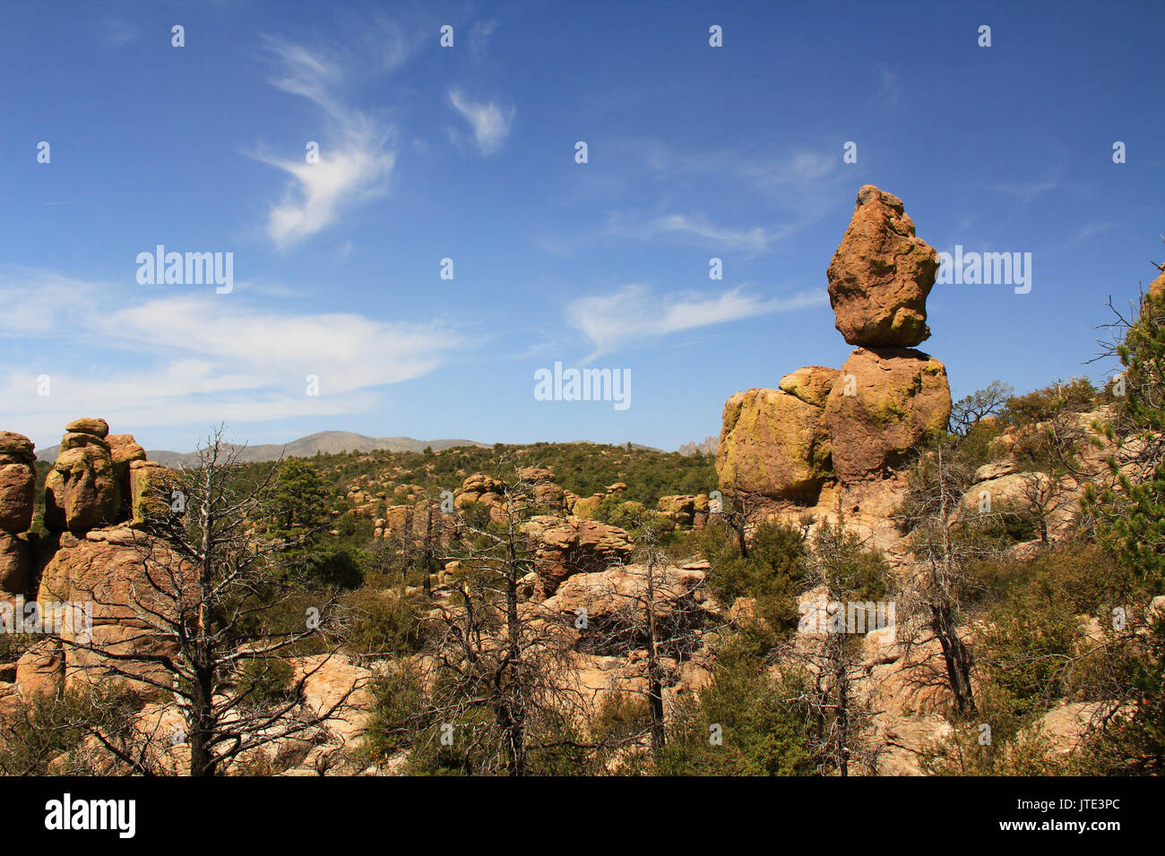 Echo Canyon hoodoos rock formazione in Chiricahua National Monument vicino Wilcox, nel sud dell'Arizona, Stati Uniti d'America. Foto Stock