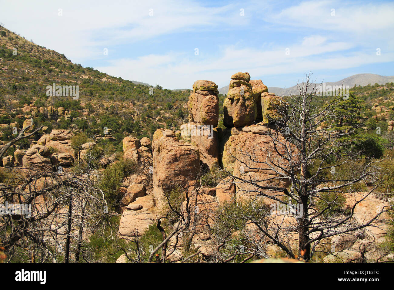 Echo Canyon hoodoos rock formazione in Chiricahua National Monument vicino Wilcox, nel sud dell'Arizona, Stati Uniti d'America. Foto Stock