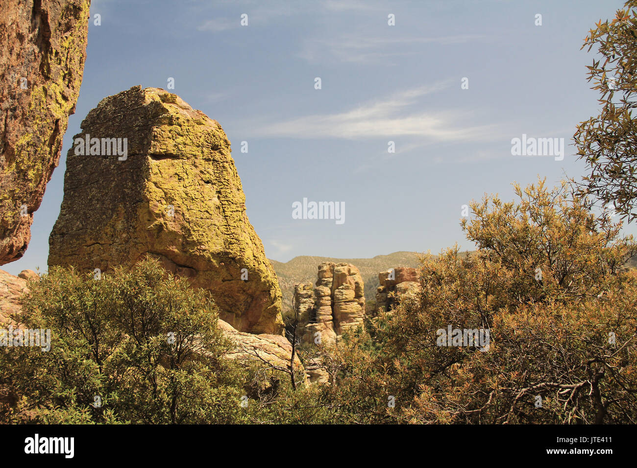 Echo Canyon hoodoos rock formazione in Chiricahua National Monument vicino Wilcox, nel sud dell'Arizona, Stati Uniti d'America. Foto Stock