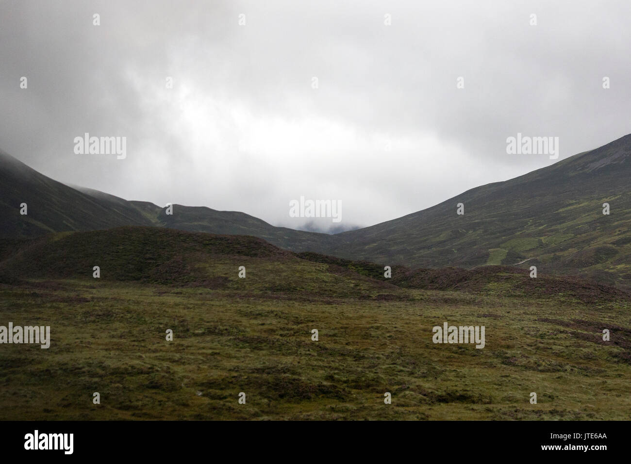 Scozia, Highlands, Scottish Landscape, Countryside, Shrubery e Undergrowth, Atmosfera torbida, nuvoloso, Foggy, verde, paesaggio astratto, Campi Foto Stock