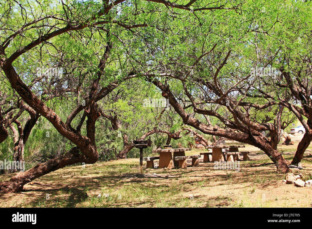 El Bosquecito area picnic in grotta colossale Mountain Park a Vail, Arizona, Stati Uniti vicino a Tucson. Foto Stock