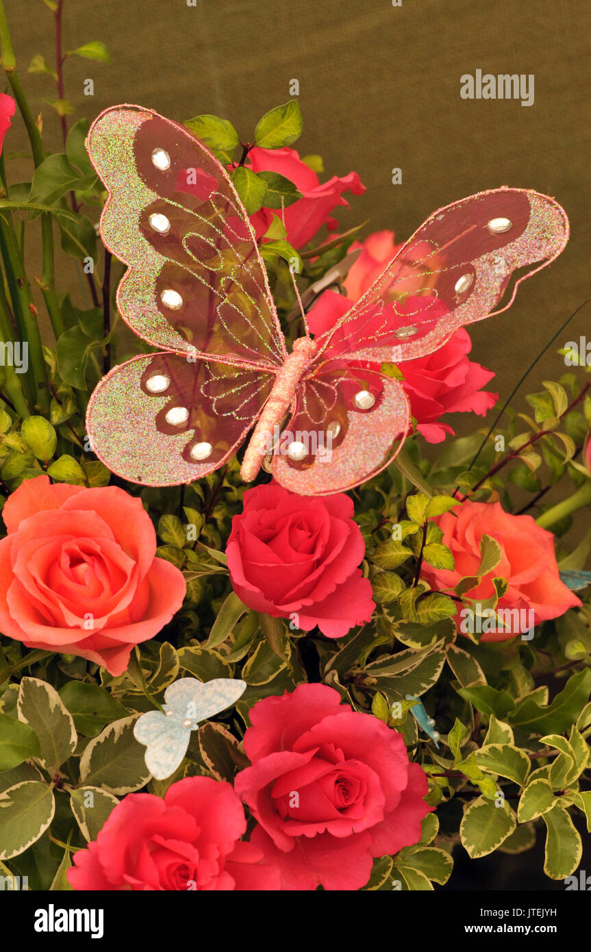 Un bouquet o mazzi di rose rosse visualizzati in una disposizione di fiori con una farfalla realizzata dal laccio si appollaia su petali e steli dei fiori Foto Stock