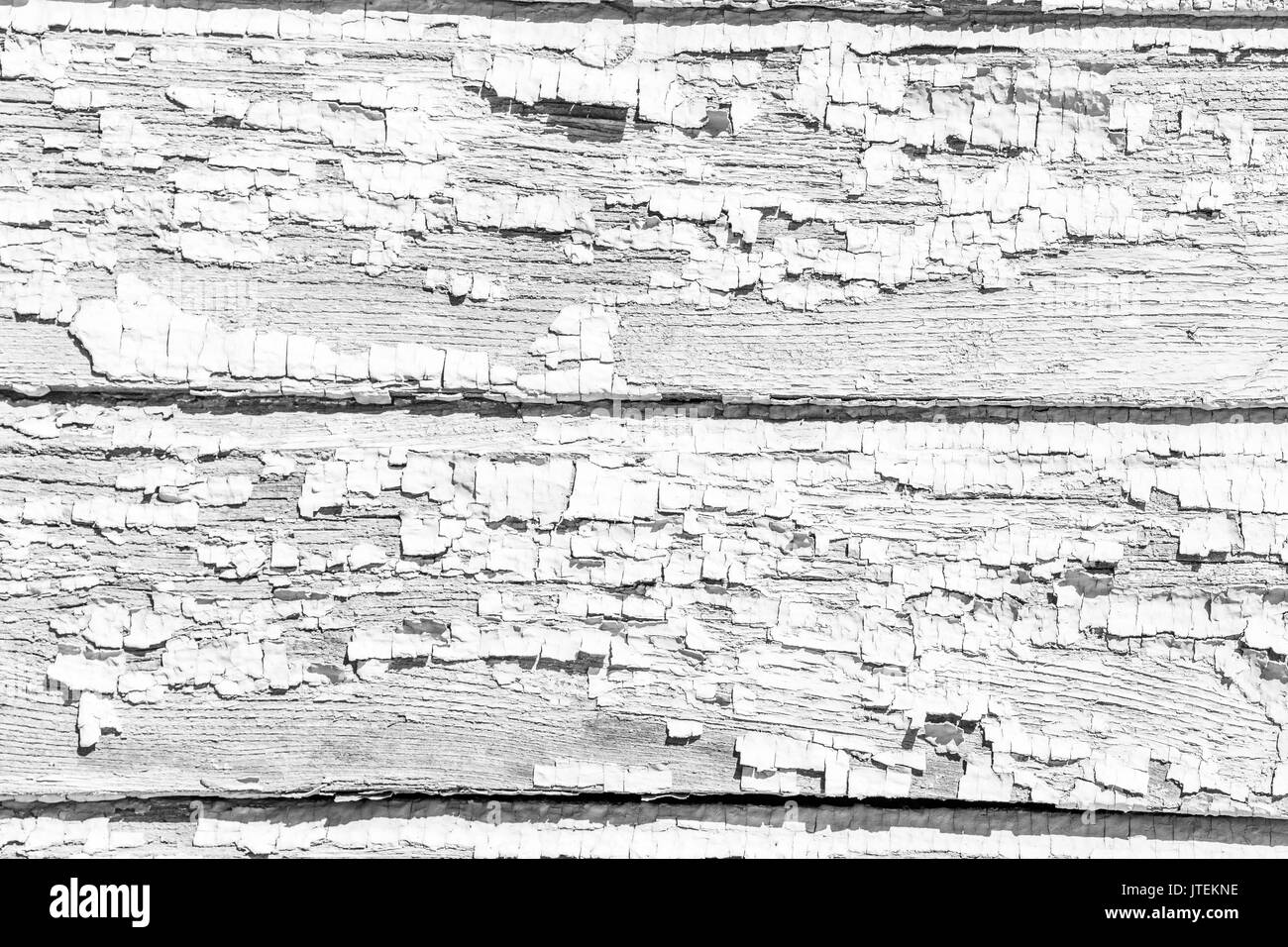 Bianco di legno rustico texture con modelli naturali come superficie di sfondo. Foto Stock