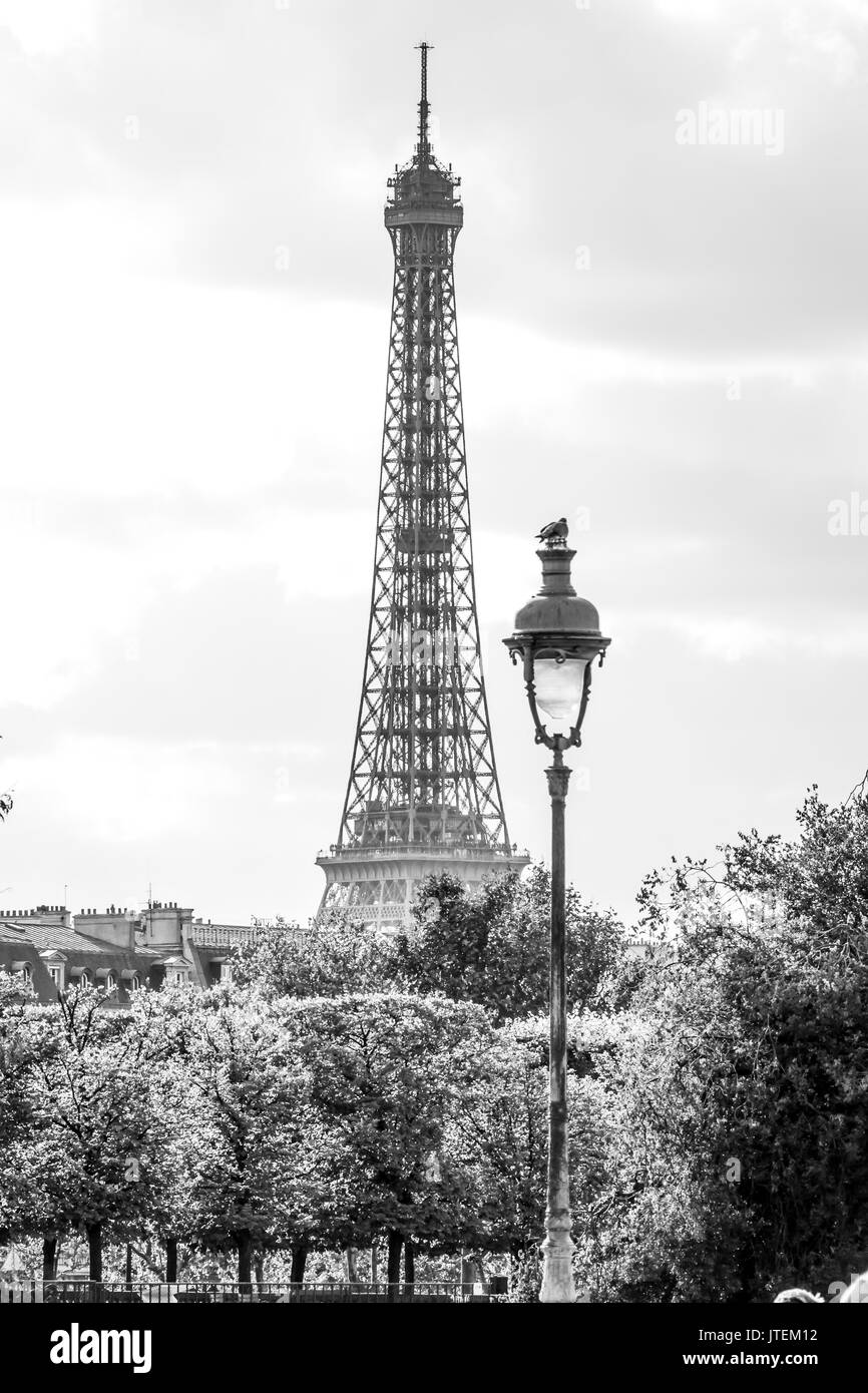 Torre Eiffel - lunga distante shot Foto Stock