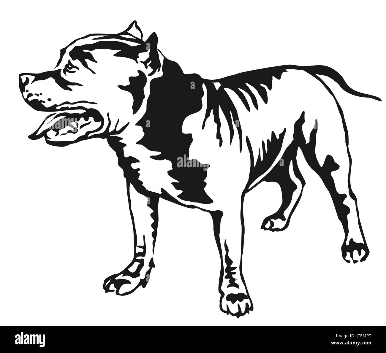 Ritratto decorativo di standing in profilo l'American Pit Bull Terrier, vettore isolato illustrazione in colore nero su sfondo bianco Illustrazione Vettoriale