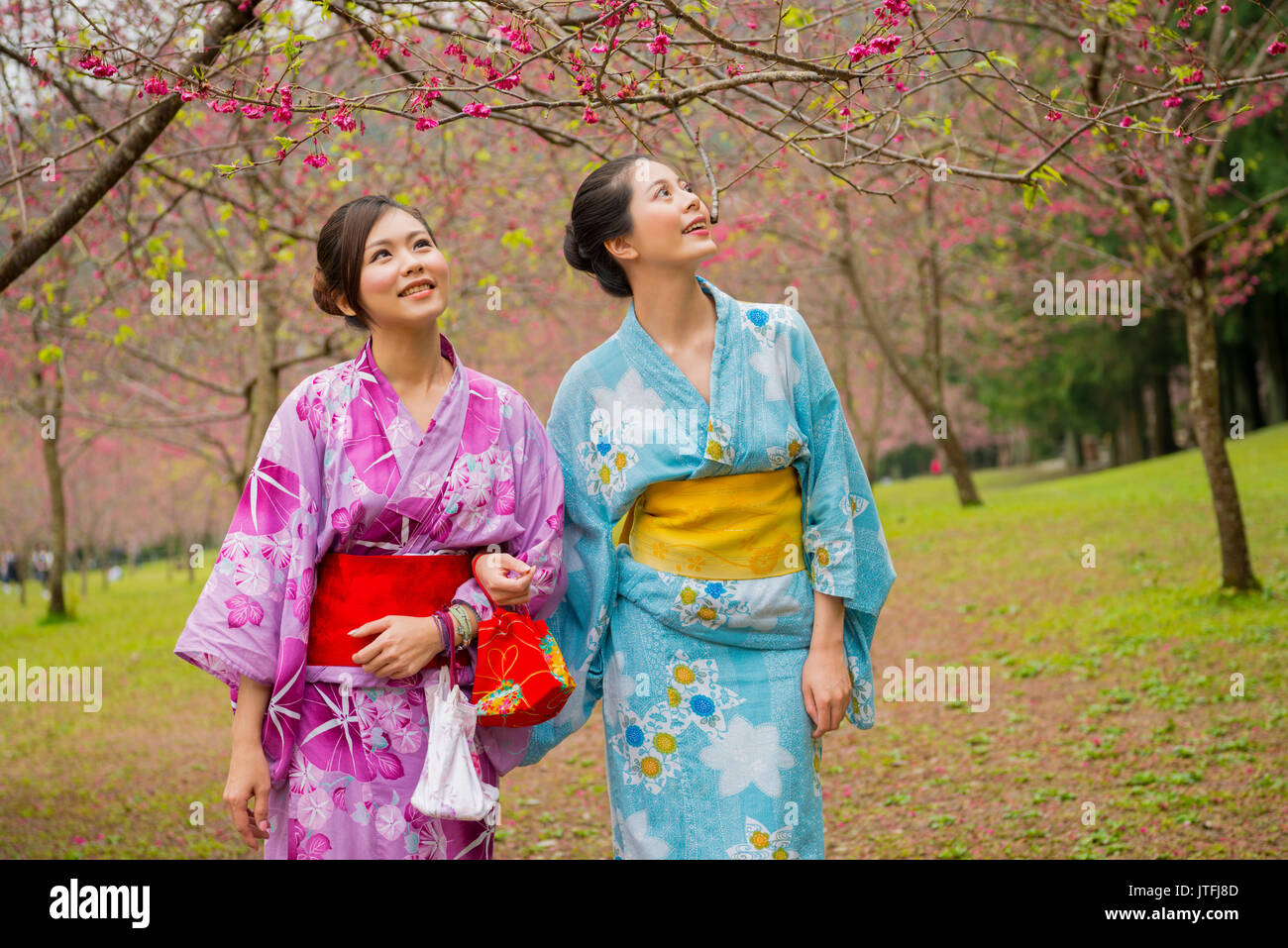 Bella Giapponese studentesse di indossare il kimono tradizionali vestiti a piedi in Cherry Blossom street insieme godendo della attraente flusso rosa Foto Stock