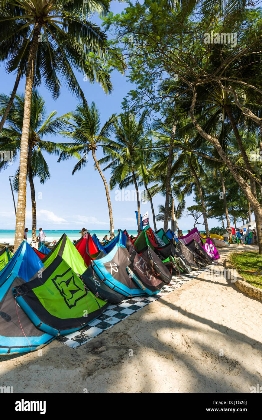 Aquiloni allineate su resort sul fronte spiaggia con i turisti, palme, la spiaggia e l'oceano in background Foto Stock