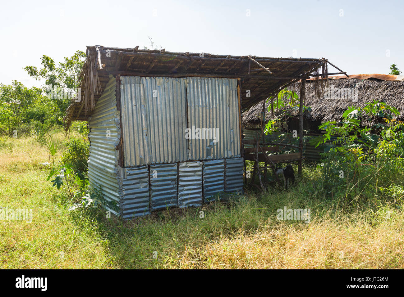 Ferro corrugato e palm tetto di paglia shack, Kenya Foto Stock