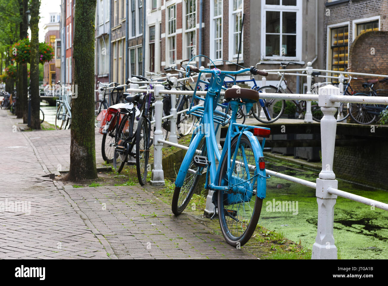 Un blu brillante bicicletta mediante la banca Canale di Beagle in Delft, South Holland, Paesi Bassi Foto Stock