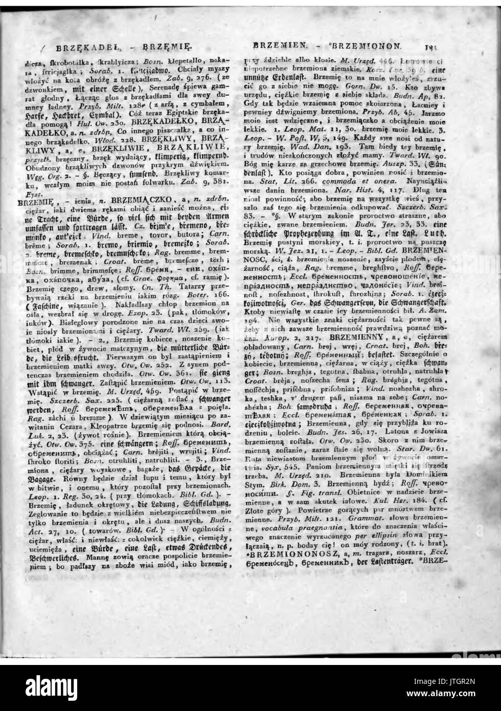 Slownik jezyka polskiego tom 1 181 Foto Stock