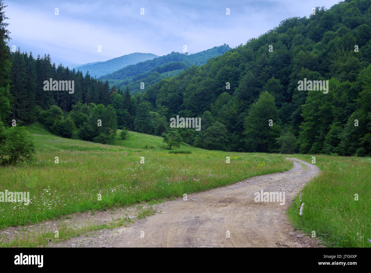 Il pittoresco paesaggio dei Carpazi con una strada che conduce verso il bosco e la montagna, Ucraina Foto Stock