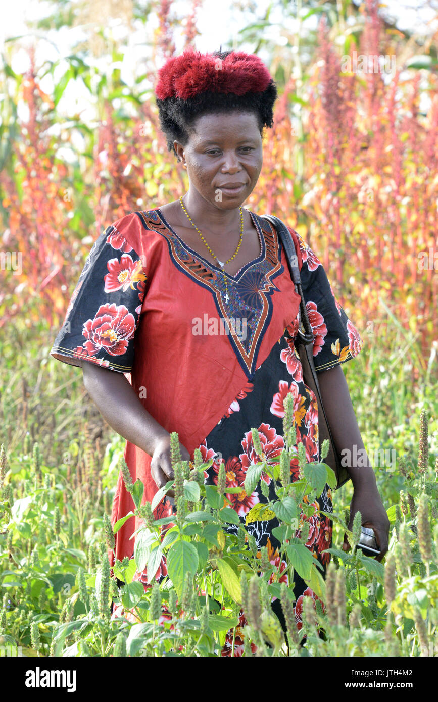 Chia agricoltore Elizabeth Natocha presso la sua fattoria in Namayingo, Uganda, 30 giugno 2017. Un numero sempre maggiore di piccoli agricoltori stanno cominciando a crescere chia, un raccolto che sia più facile da coltivare e più redditizio di mais. Foto: Gioa Forster/dpa Foto Stock