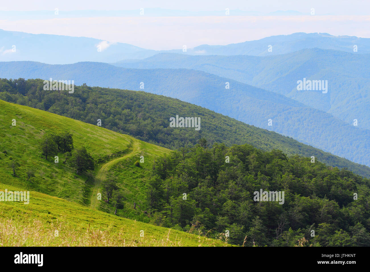 Bellissima vista sulle creste delle montagne dei Carpazi, Ucraina Foto Stock