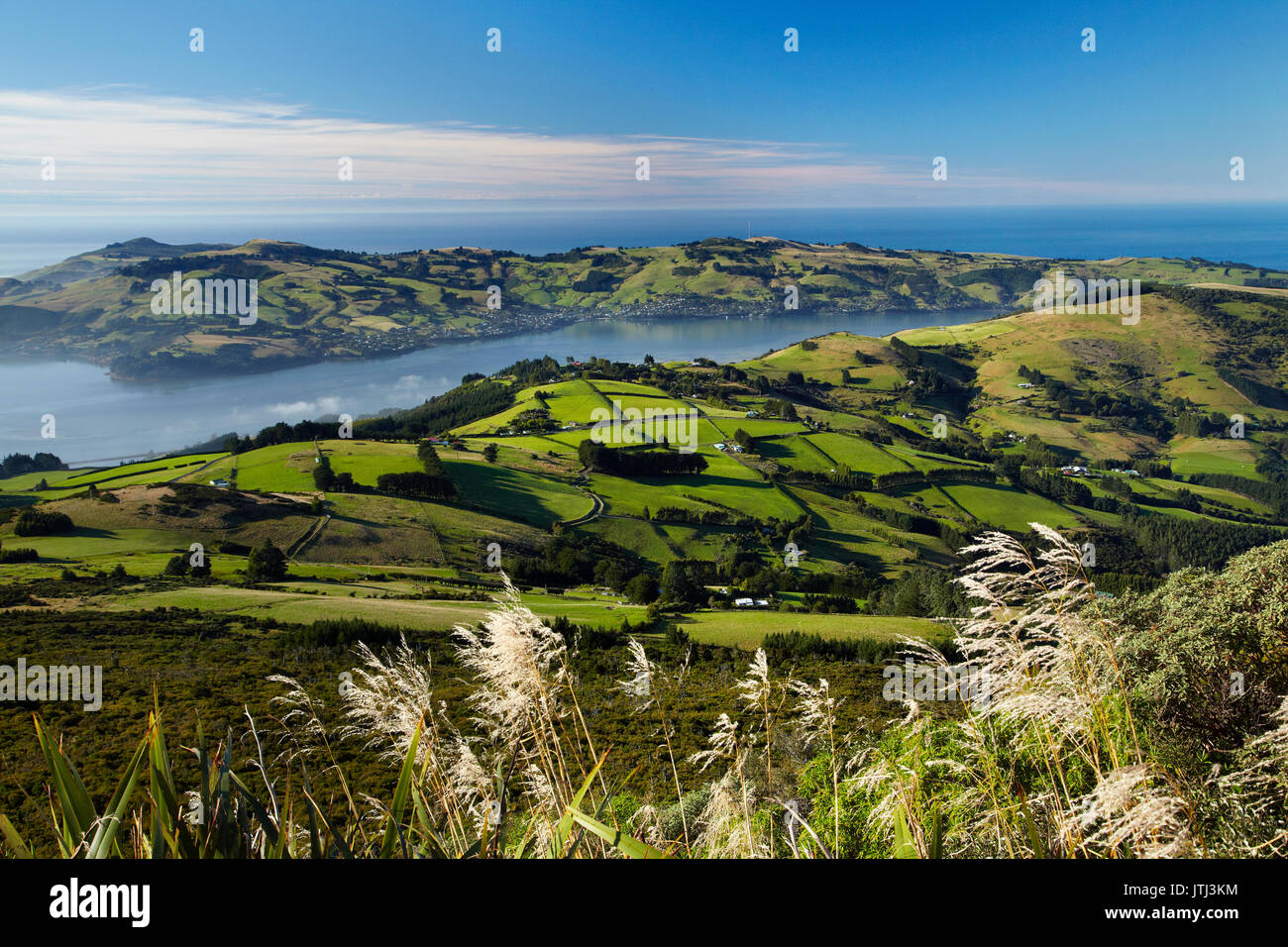 Terreni agricoli a giunzione superiore e il porto di Otago e la penisola di Otago, Dunedin, Isola del Sud, Nuova Zelanda Foto Stock