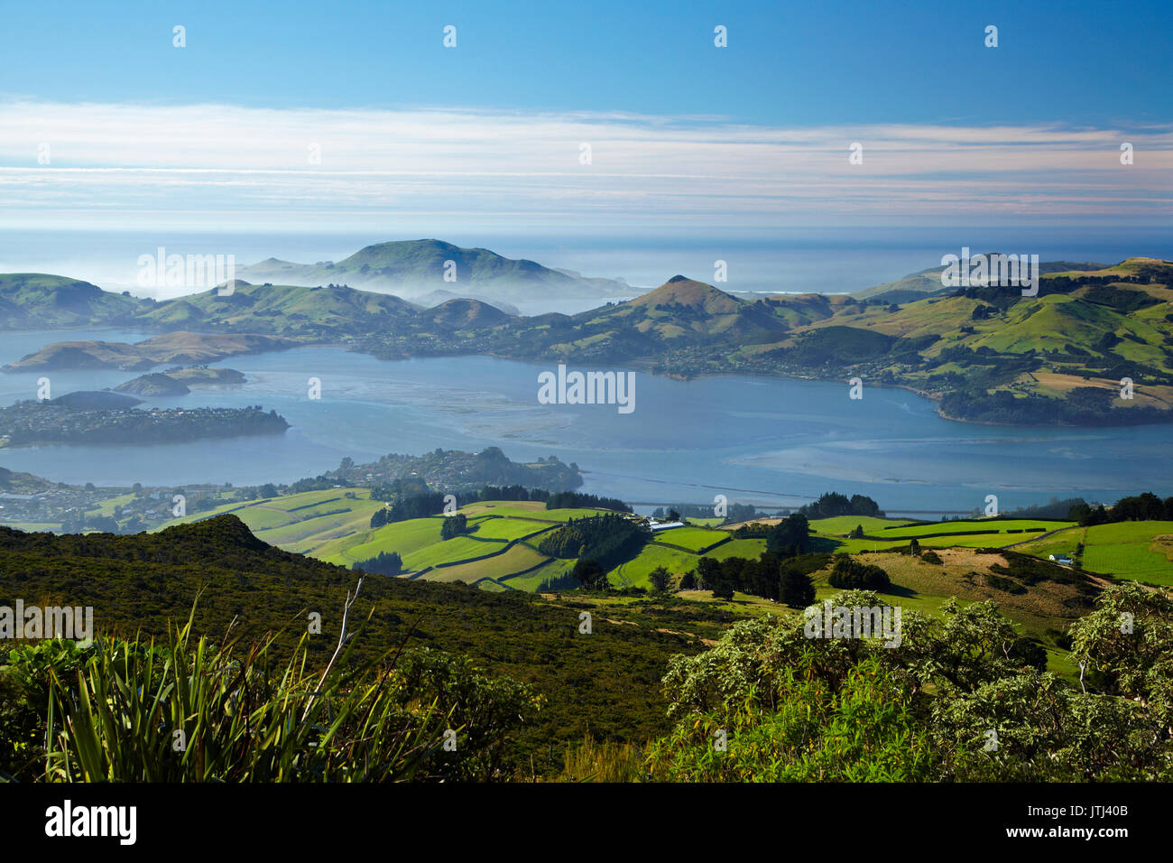 Porto di Otago e la penisola di Otago, Dunedin, Isola del Sud, Nuova Zelanda Foto Stock