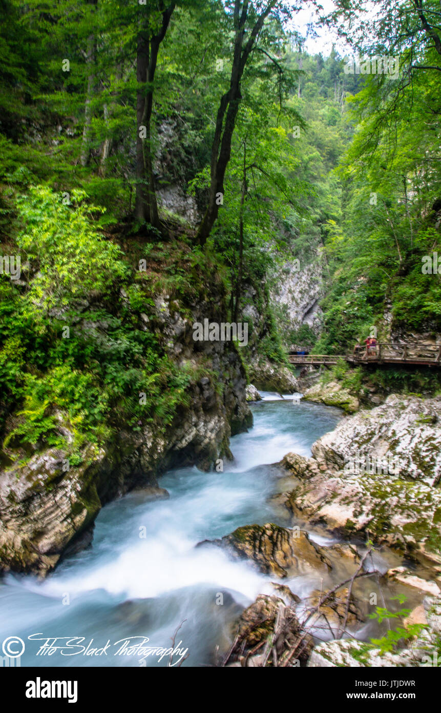 Soca fiume nella gola Gorge vicino al lago di Bled in Slovenia. Foto Stock
