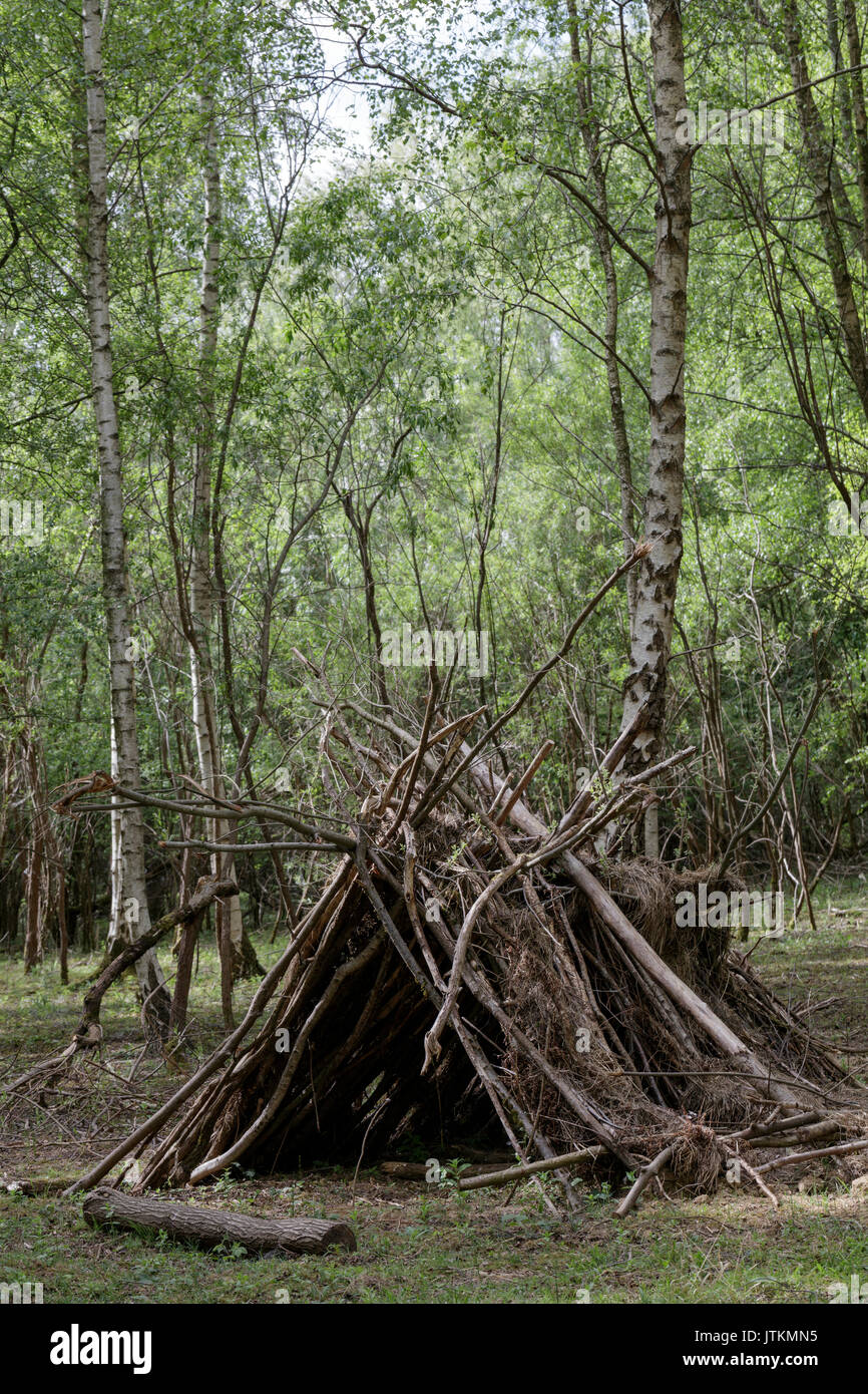 Basic rifugio costruito da filiali e bastoni nei boschi. Foto Stock