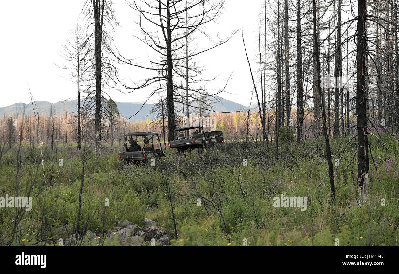 Il presidente russo Vladimir Putin e il suo entourage guidare veicoli fuoristrada attraverso la taiga durante un'avventura nel deserto siberiano in prossimità della frontiera mongola agosto 1-3, 2017 nella Repubblica Tyva, Russia. Foto Stock