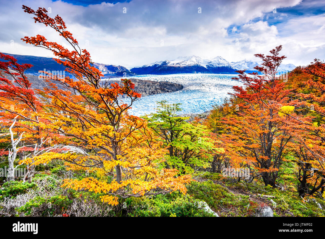 Patagonia, Cile - ghiacciaio Grey è un ghiacciaio in Patagonia meridionale del campo di ghiaccio sulla Cordigliera del Paine Foto Stock