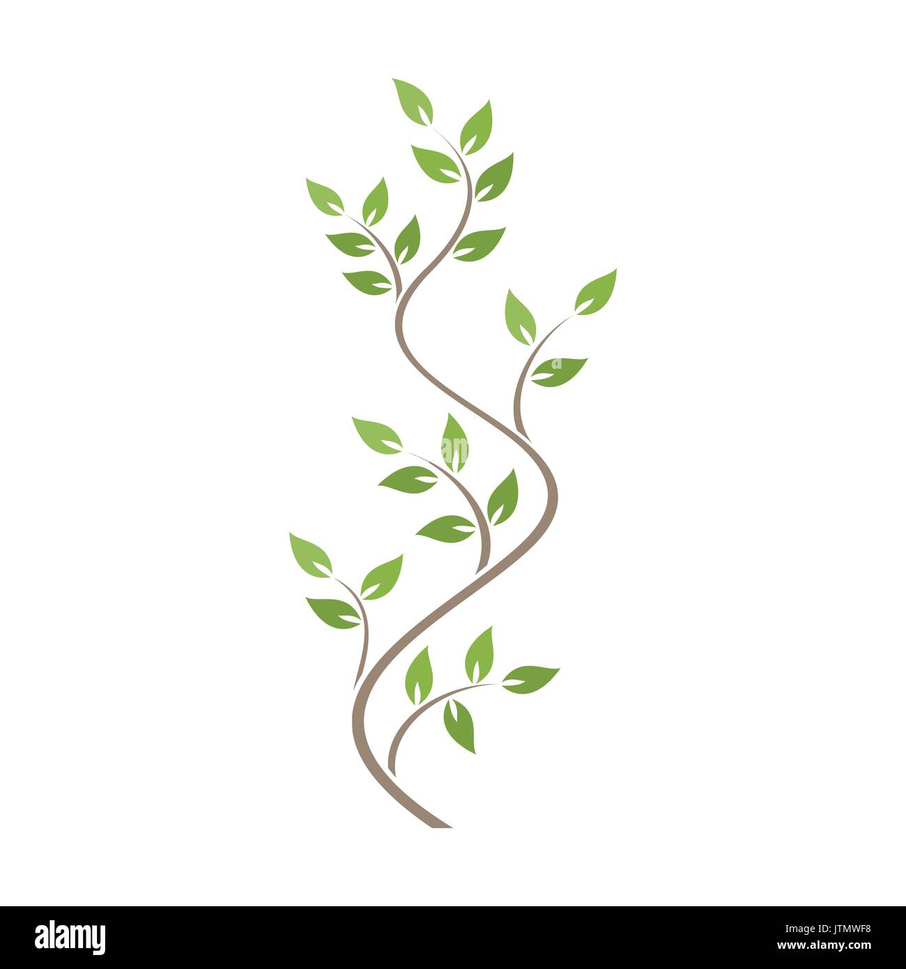 Ornamento naturale con verde edera su sfondo bianco Illustrazione Vettoriale