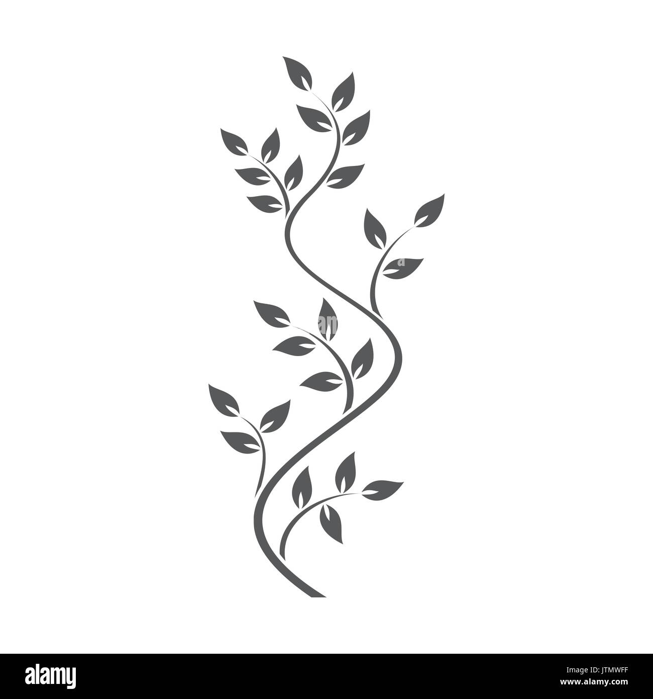 Ornamento naturale con ivy su sfondo bianco Illustrazione Vettoriale