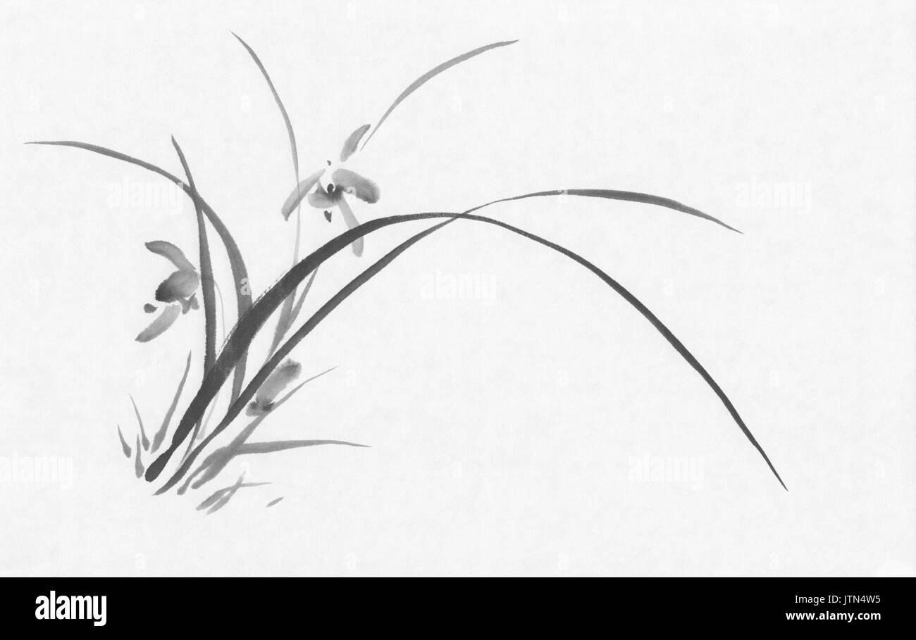 Wild Orchid inchiostro nero dipinto Foto Stock
