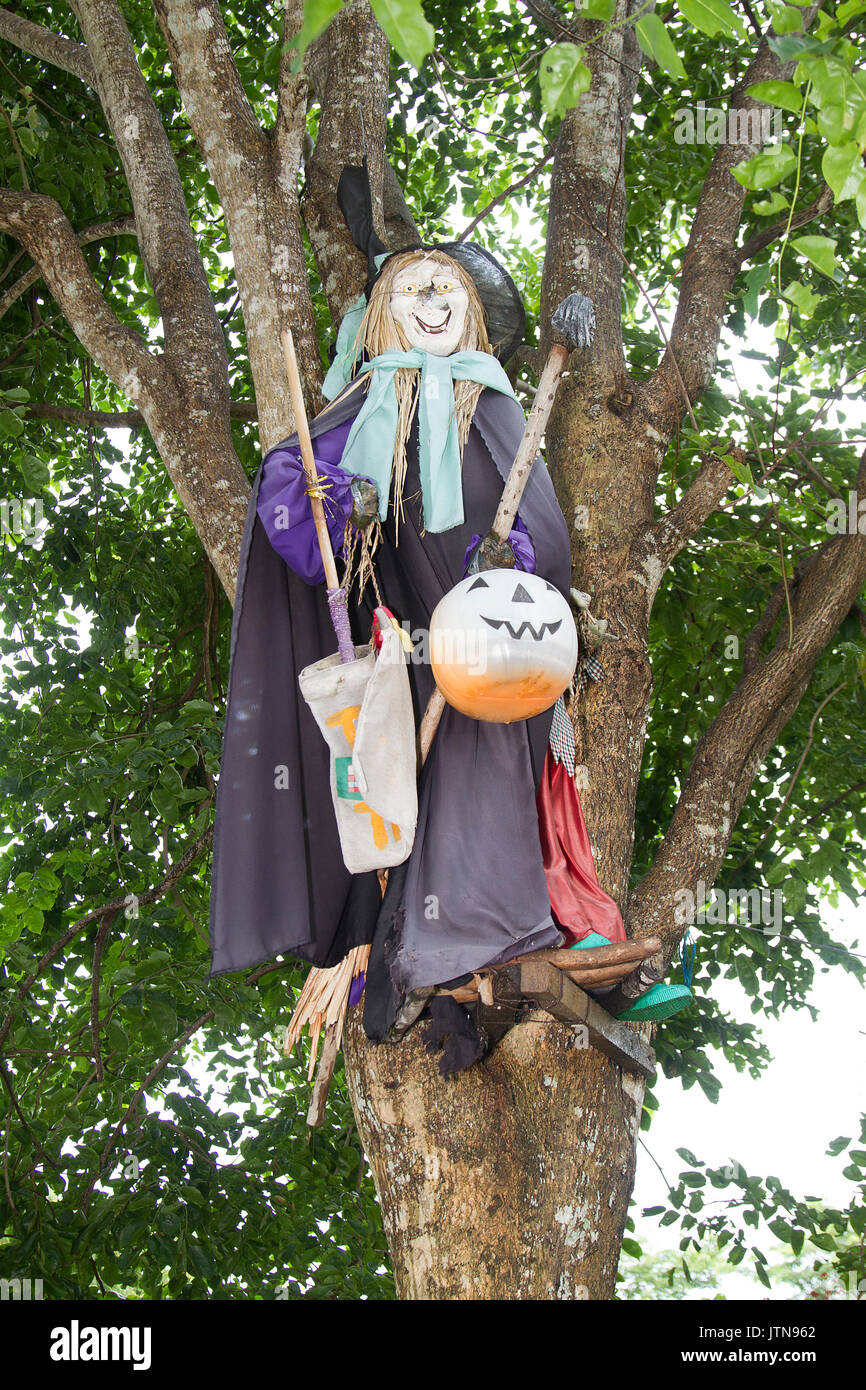 Una strega su un albero - caricatura in occasioni di tutti i fedeli defunti Foto Stock