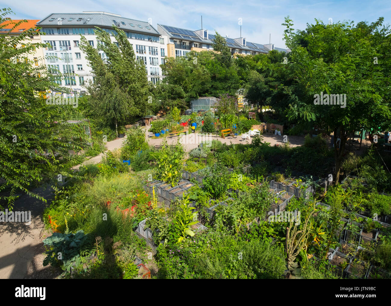 Vista sulla città urbana comunità giardino chiamato Prinzessinnengarten a Kreuzberg di Berlino, Germania. Foto Stock