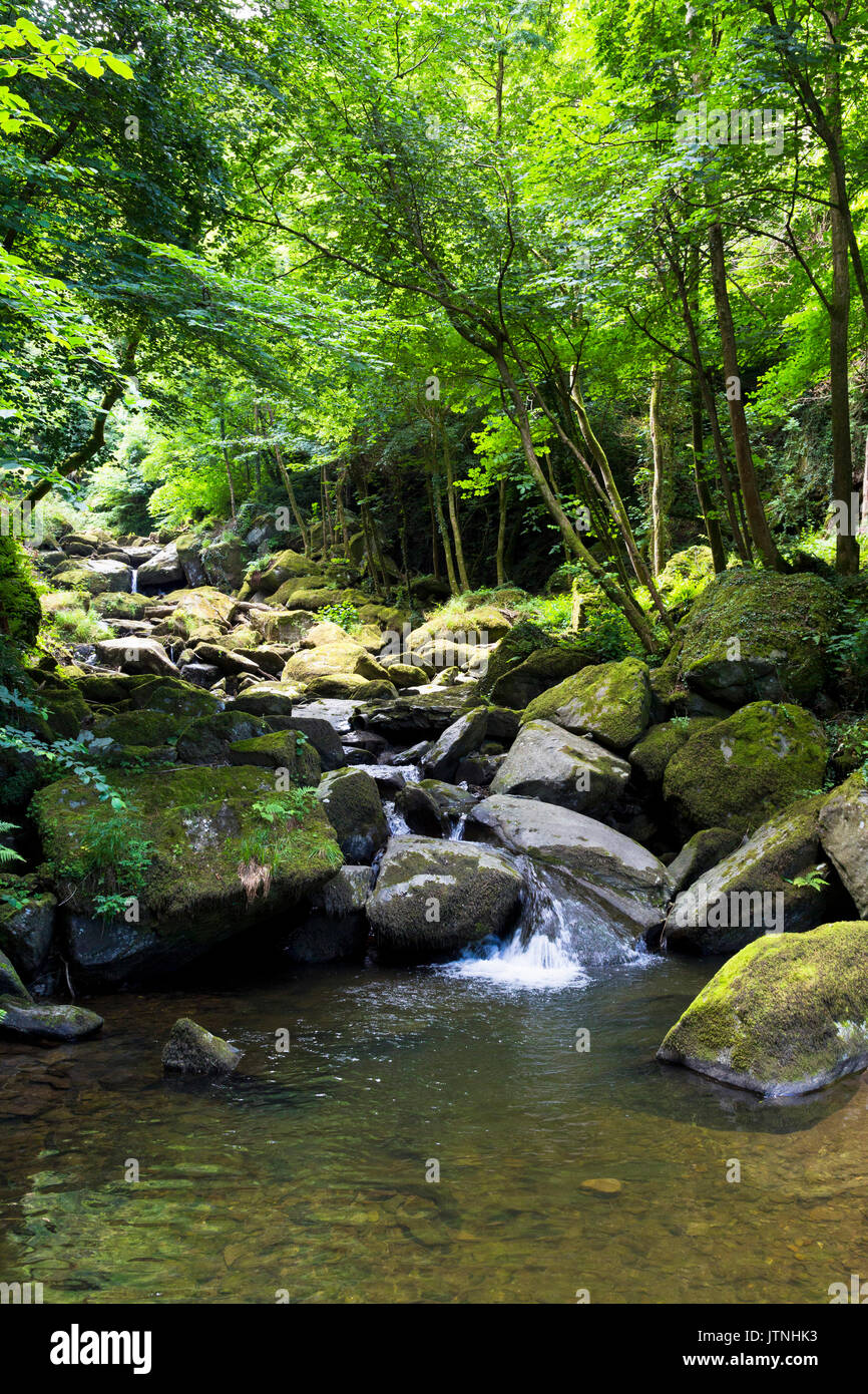 Glen Lyn Gorge, Lynmouth, North Devon, Regno Unito Foto Stock