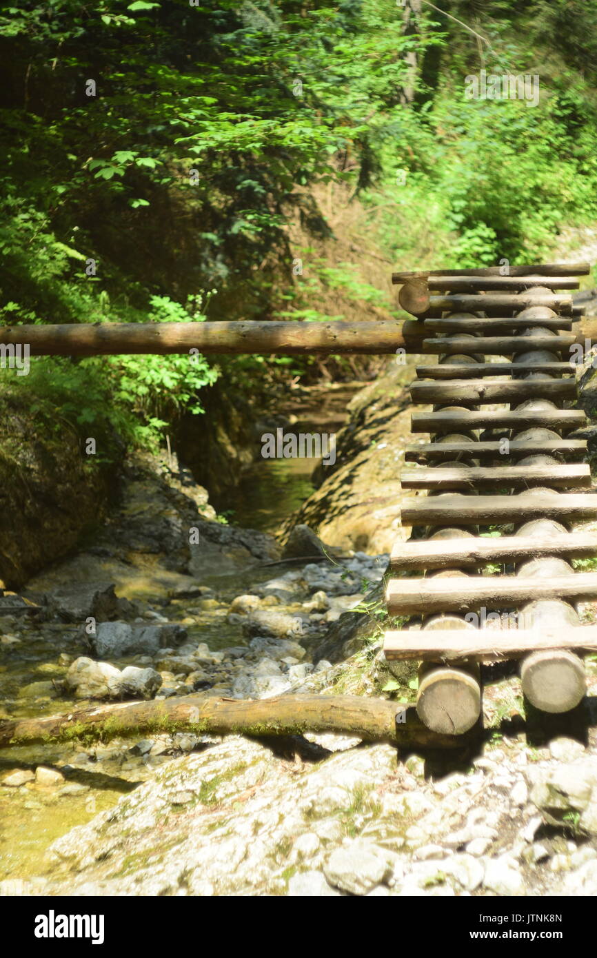 Scale di legno sul fiume di montagna Foto Stock