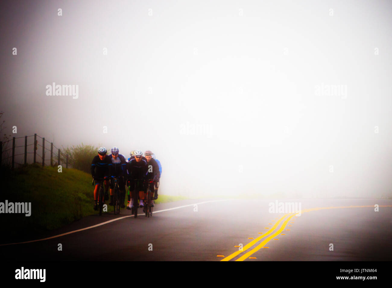 I ciclisti in una nebbiosa mattina presto ride in Marin County, California. La messa a fuoco su questa immagine è morbido. Foto Stock