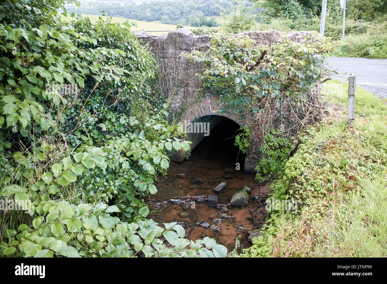 Ponte sul piccolo ruscello camuffati terra di confine tra Irlanda del Nord e della Repubblica di Irlanda Foto Stock