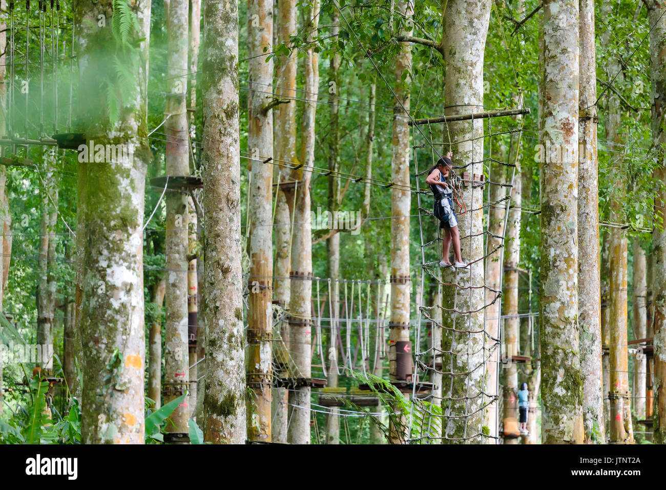 Una ragazza si lega a una zipline in un parco avventura sulle cime degli alberi, Bali, Indonesia Foto Stock