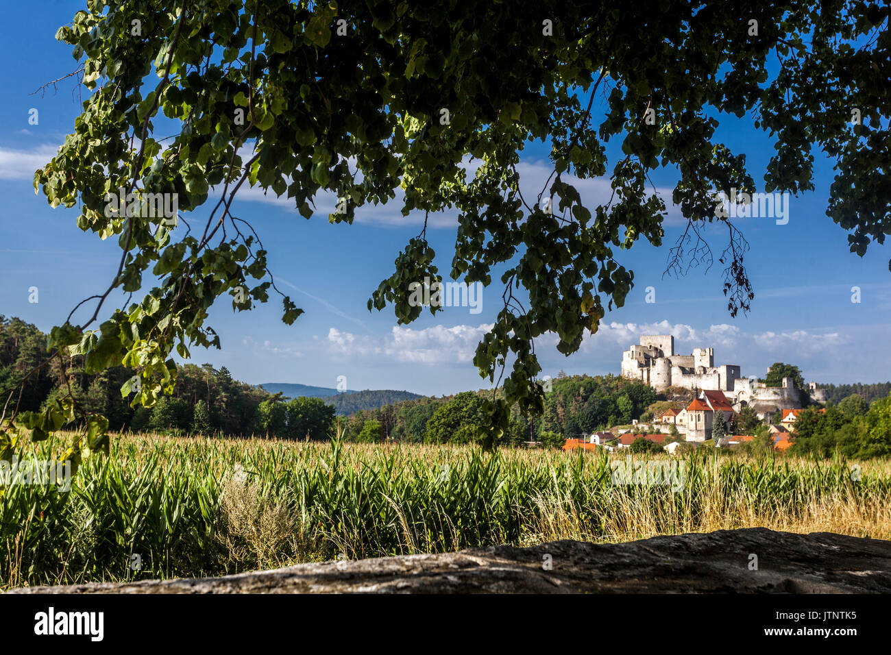 Castello di Rabi, rovine del castello gotico medievale nel paesaggio ceco, natura della Repubblica Ceca Foto Stock