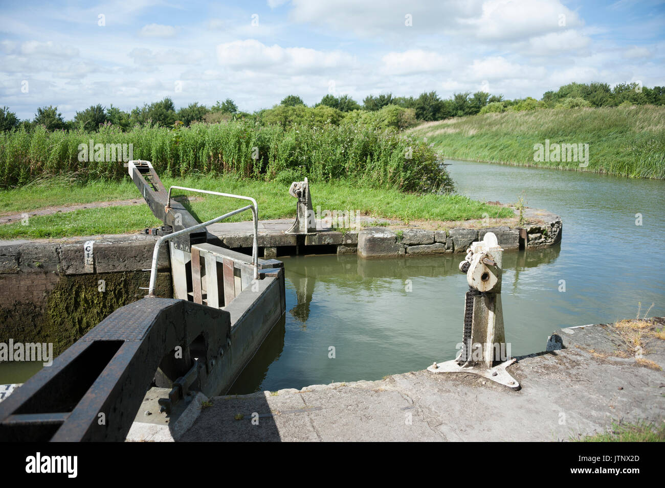 Lato stagno sul Kennet and Avon Canal a Caen Hill serrature, Devizes, Wiltshire, Regno Unito Foto Stock