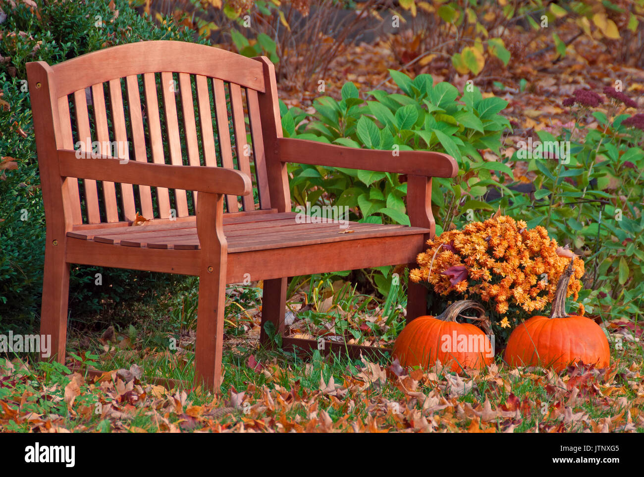 Autunno Panchina da giardino Foto Stock