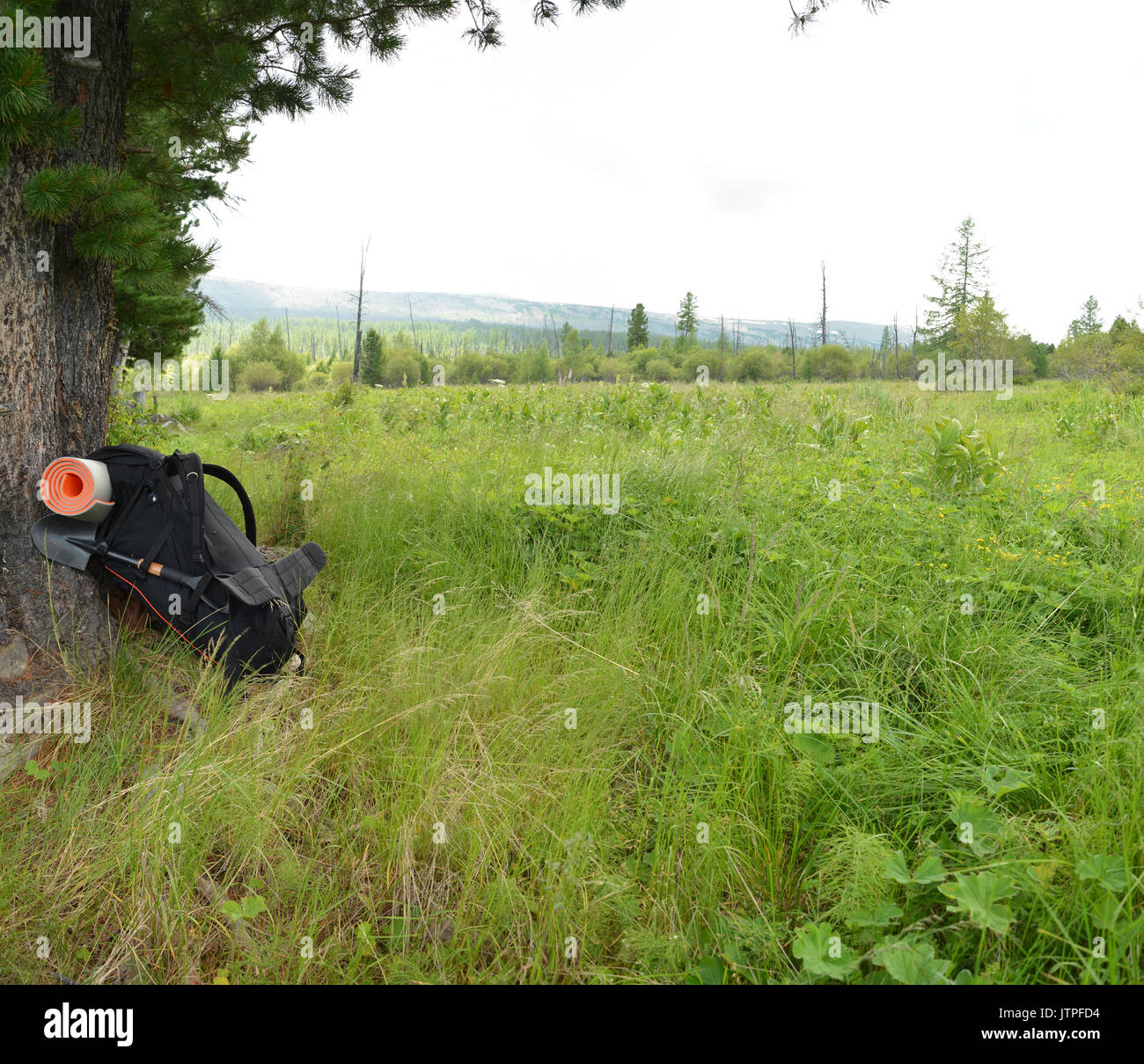 Zaino turistico con un tappeto e una pala in piedi vicino la struttura ad albero Foto Stock