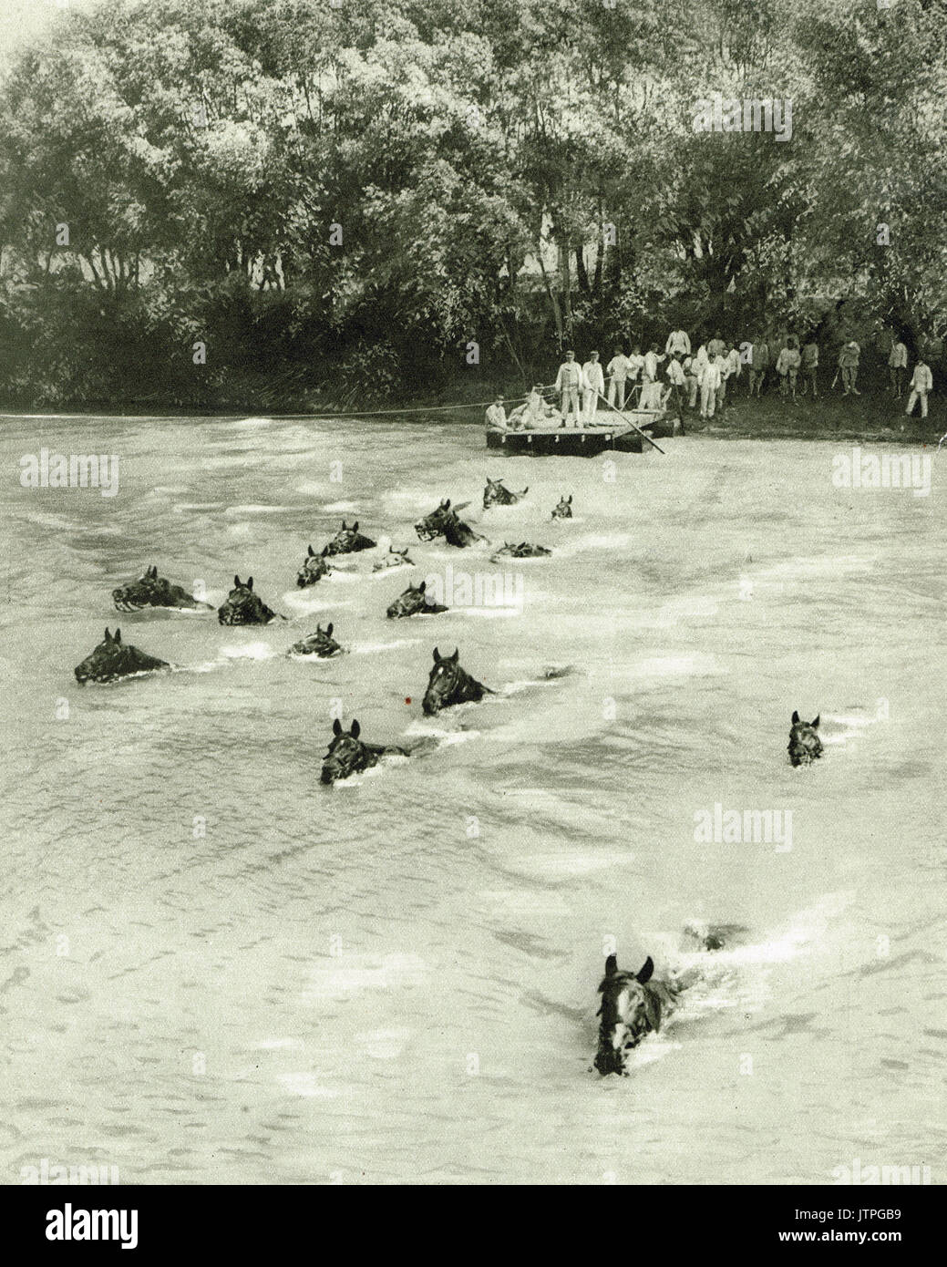 Ingegneri inoltro warhorses su un fiume, nella Francia settentrionale, WW1 Foto Stock