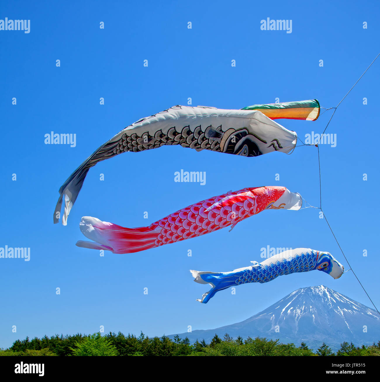 Colorati Kites Koinobori Carp contro un cielo blu clea alle Highlands Asagiri con il Monte Fuji sullo sfondo in Giappone Foto Stock