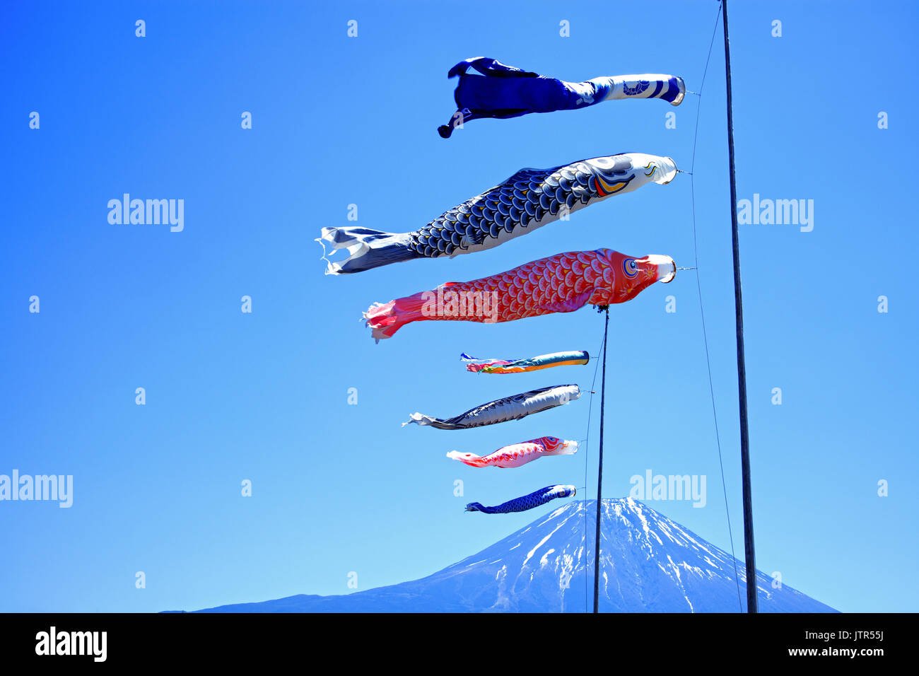 Coloratissimi aquiloni di carpa Koinobori contro un cielo azzurro limpido negli altopiani di Asagiri con il Monte Fuji sullo sfondo in Giappone Foto Stock